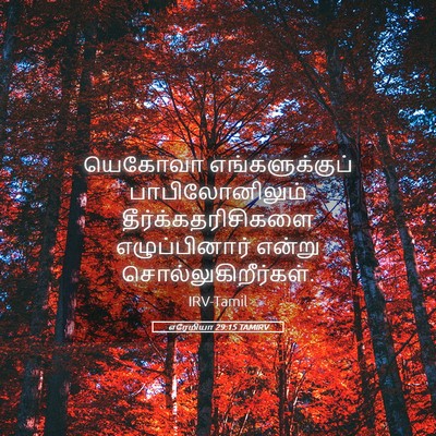 Picture 05 - எரேமியா 29:15 TAMIRV - யெகோவா - Bible Verse Picture