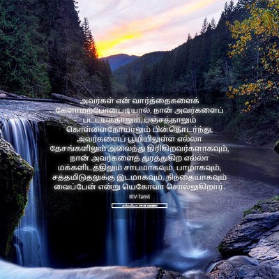 Picture 05 - எரேமியா 29:18 TAMIRV - அவர்கள் என் - Bible Verse Picture