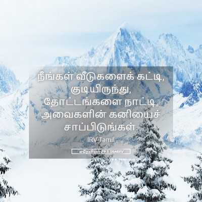 Picture 05 - எரேமியா 29:5 TAMIRV - நீங்கள் வீடுகளைக் - Bible Verse Picture