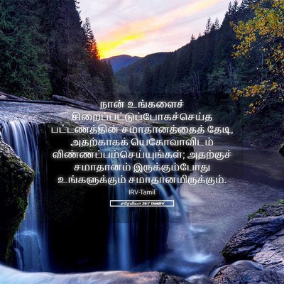 Picture 05 - எரேமியா 29:7 TAMIRV - நான் உங்களைச் - Bible Verse Picture