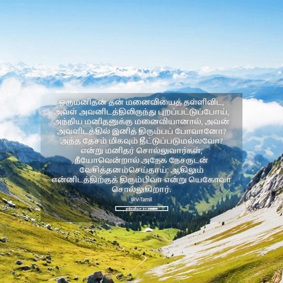 Picture 05 - எரேமியா 3:1 TAMIRV - ஒருமனிதன் தன் - Bible Verse Picture