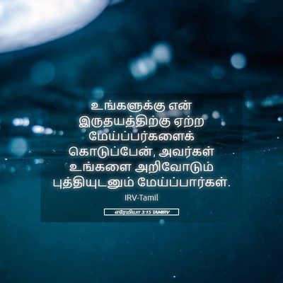 Picture 05 - எரேமியா 3:15 TAMIRV - உங்களுக்கு என் - Bible Verse Picture
