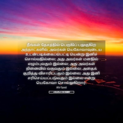 Picture 05 - எரேமியா 3:16 TAMIRV - நீங்கள் தேசத்தில் - Bible Verse Picture