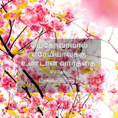 Picture 05 - எரேமியா 30:1 TAMIRV - யெகோவாவால் - Bible Verse Picture