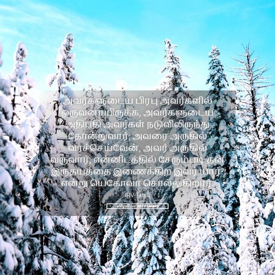 Picture 05 - எரேமியா 30:21 TAMIRV - அவர்களுடைய பிரபு - Bible Verse Picture
