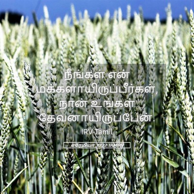 Picture 05 - எரேமியா 30:22 TAMIRV - நீங்கள் என் - Bible Verse Picture