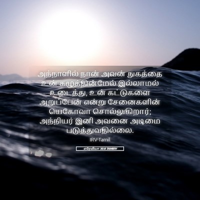 Picture 05 - எரேமியா 30:8 TAMIRV - அந்நாளில் நான் - Bible Verse Picture