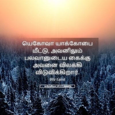 Picture 05 - எரேமியா 31:11 TAMIRV - யெகோவா யாக்கோபை - Bible Verse Picture