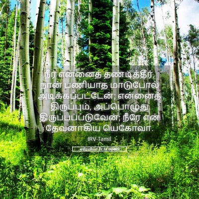 Picture 05 - எரேமியா 31:18 TAMIRV - நீர் என்னைத் - Bible Verse Picture