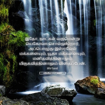 Picture 05 - எரேமியா 31:27 TAMIRV - இதோ, நாட்கள் - Bible Verse Picture