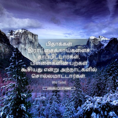 Picture 05 - எரேமியா 31:29 TAMIRV - பிதாக்கள் - Bible Verse Picture