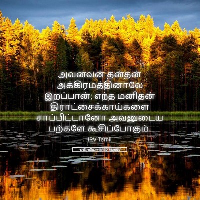 Picture 05 - எரேமியா 31:30 TAMIRV - அவனவன் தன்தன் - Bible Verse Picture
