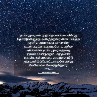 Picture 05 - எரேமியா 31:32 TAMIRV - நான் அவர்கள் - Bible Verse Picture