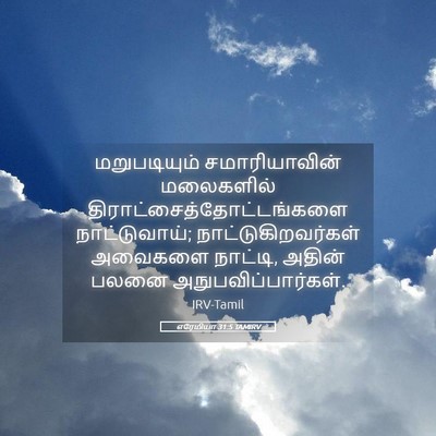 Picture 05 - எரேமியா 31:5 TAMIRV - மறுபடியும் - Bible Verse Picture