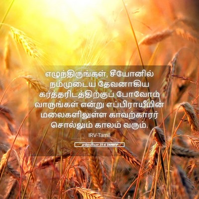 Picture 05 - எரேமியா 31:6 TAMIRV - எழுந்திருங்கள், - Bible Verse Picture