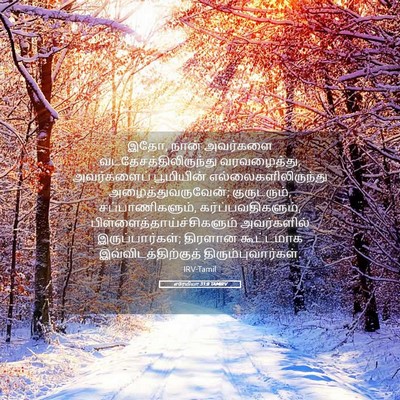 Picture 05 - எரேமியா 31:8 TAMIRV - இதோ, நான் அவர்களை - Bible Verse Picture