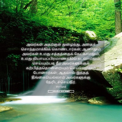 Picture 05 - எரேமியா 32:23 TAMIRV - அவர்கள் அதற்குள் - Bible Verse Picture