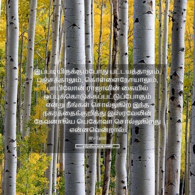 Picture 05 - எரேமியா 32:36 TAMIRV -  - Bible Verse Picture