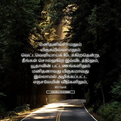 Picture 05 - எரேமியா 33:10 TAMIRV - மனிதனில்லாமலும் - Bible Verse Picture