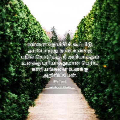 Picture 05 - எரேமியா 33:3 TAMIRV - என்னை நோக்கிக் - Bible Verse Picture