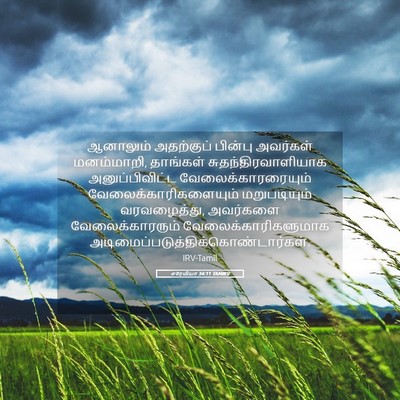 Picture 05 - எரேமியா 34:11 TAMIRV - ஆனாலும் அதற்குப் - Bible Verse Picture