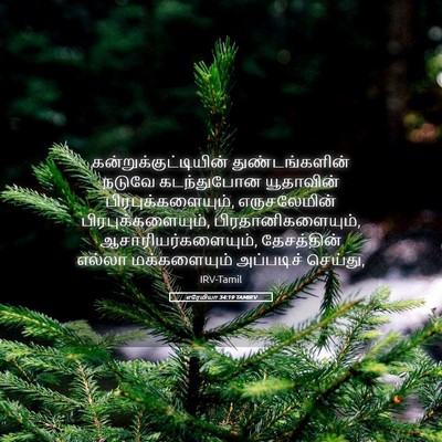 Picture 05 - எரேமியா 34:19 TAMIRV -  - Bible Verse Picture