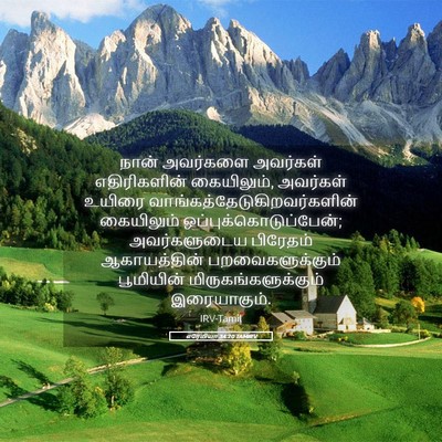 Picture 05 - எரேமியா 34:20 TAMIRV - நான் அவர்களை - Bible Verse Picture