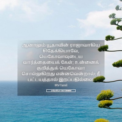 Picture 05 - எரேமியா 34:4 TAMIRV - ஆனாலும் யூதாவின் - Bible Verse Picture