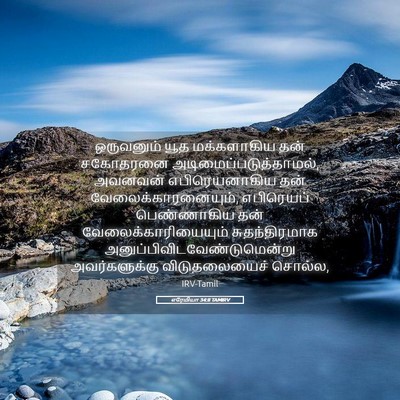 Picture 05 - எரேமியா 34:8 TAMIRV - ஒருவனும் யூத - Bible Verse Picture