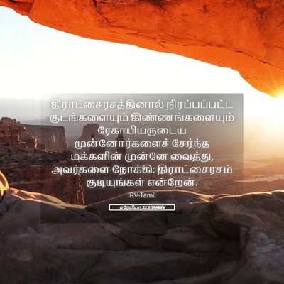 Picture 05 - எரேமியா 35:5 TAMIRV -  - Bible Verse Picture