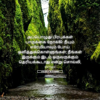 Picture 05 - எரேமியா 36:19 TAMIRV - அப்பொழுது - Bible Verse Picture