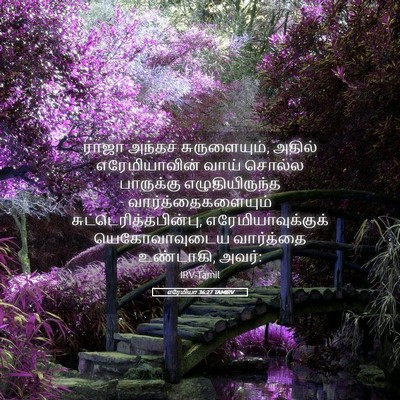 Picture 05 - எரேமியா 36:27 TAMIRV - ராஜா அந்தச் - Bible Verse Picture