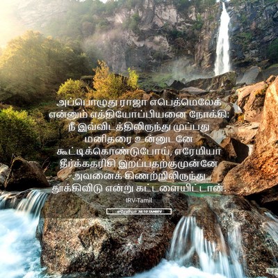 Picture 05 - எரேமியா 38:10 TAMIRV - அப்பொழுது ராஜா - Bible Verse Picture