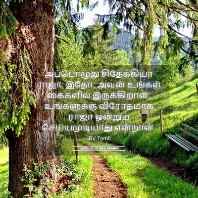 Picture 05 - எரேமியா 38:5 TAMIRV - அப்பொழுது - Bible Verse Picture