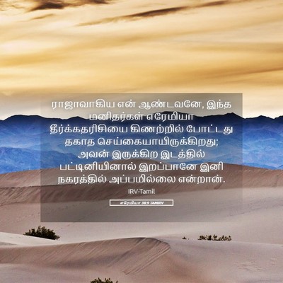 Picture 05 - எரேமியா 38:9 TAMIRV - ராஜாவாகிய என் - Bible Verse Picture