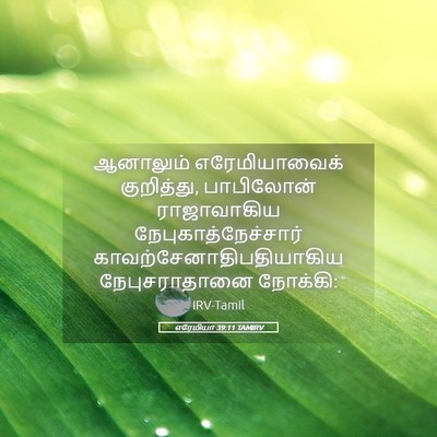 Picture 05 - எரேமியா 39:11 TAMIRV - ஆனாலும் - Bible Verse Picture