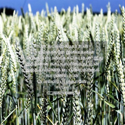 Picture 05 - எரேமியா 4:18 TAMIRV - உன் நடக்கையும் - Bible Verse Picture