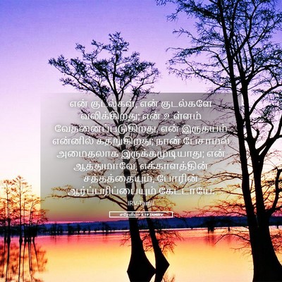 Picture 05 - எரேமியா 4:19 TAMIRV - என் குடல்கள், என் - Bible Verse Picture