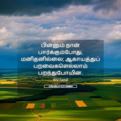 Picture 05 - எரேமியா 4:25 TAMIRV - பின்னும் நான் - Bible Verse Picture