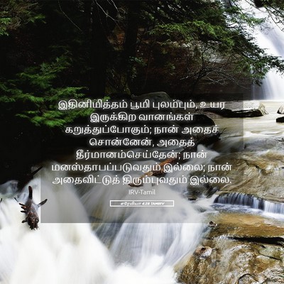 Picture 05 - எரேமியா 4:28 TAMIRV - இதினிமித்தம் பூமி - Bible Verse Picture
