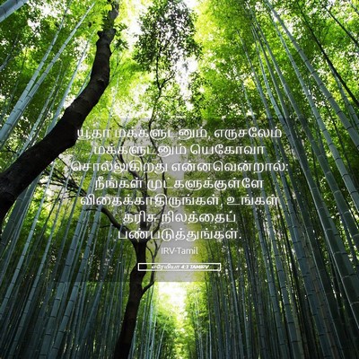 Picture 05 - எரேமியா 4:3 TAMIRV - யூதா மக்களுடனும், - Bible Verse Picture