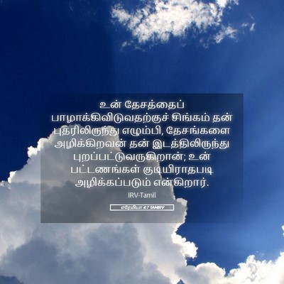 Picture 05 - எரேமியா 4:7 TAMIRV - உன் தேசத்தைப் - Bible Verse Picture