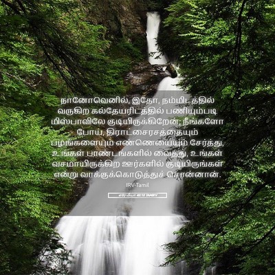 Picture 05 - எரேமியா 40:10 TAMIRV - நானோவெனில், இதோ, - Bible Verse Picture