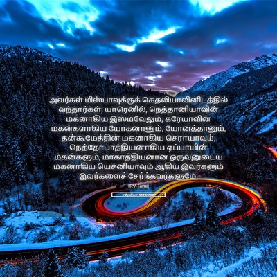 Picture 05 - எரேமியா 40:8 TAMIRV - அவர்கள் - Bible Verse Picture