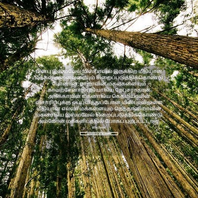 Picture 05 - எரேமியா 41:10 TAMIRV - பின்பு இஸ்மவேல் - Bible Verse Picture