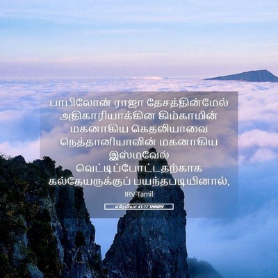 Picture 05 - எரேமியா 41:17 TAMIRV - பாபிலோன் ராஜா - Bible Verse Picture