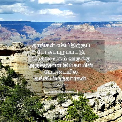 Picture 05 - எரேமியா 41:18 TAMIRV - தாங்கள் - Bible Verse Picture