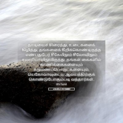 Picture 05 - எரேமியா 41:5 TAMIRV - தாடியைச் - Bible Verse Picture