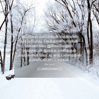 Picture 05 - எரேமியா 41:7 TAMIRV - அவர்கள் நகரத்தின் - Bible Verse Picture