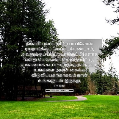 Picture 05 - எரேமியா 42:11 TAMIRV - நீங்கள் - Bible Verse Picture